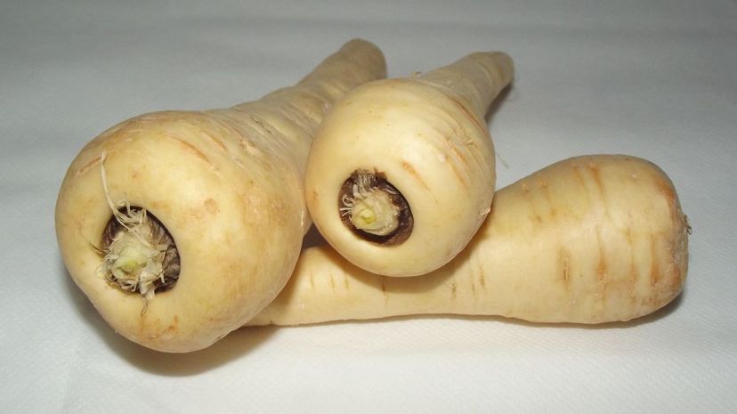 Parsnip