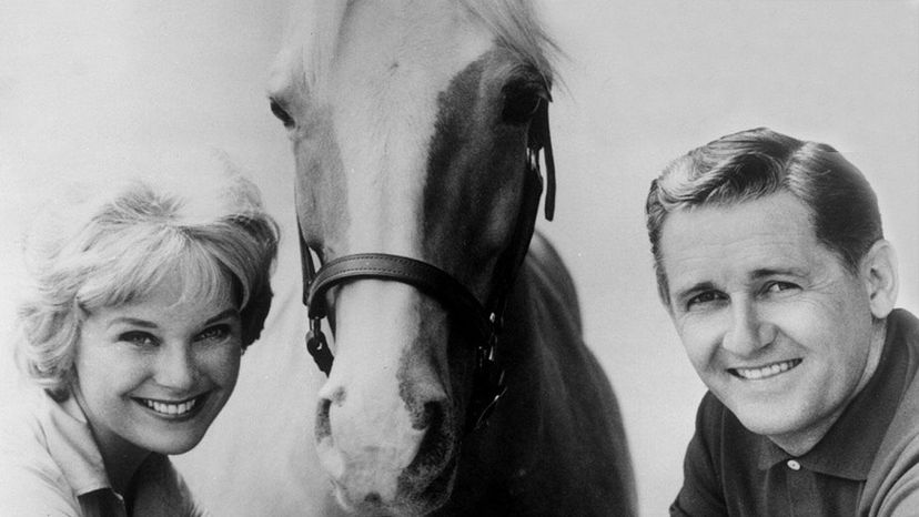 Mister Ed