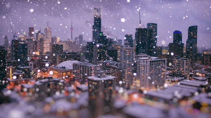 28 Snowy Toronto