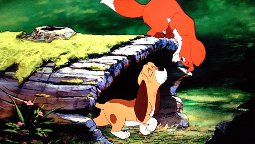 The Fox and the Hound