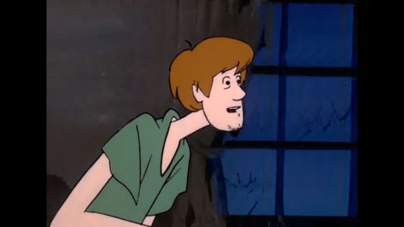 Norville Shaggy Rogers - Scooby-Doo, Where Are You!