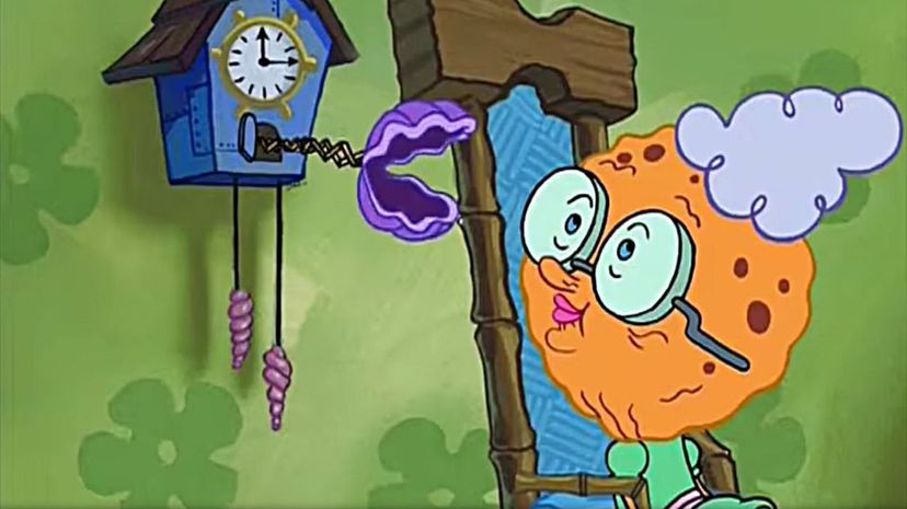 Grandma SquarePants