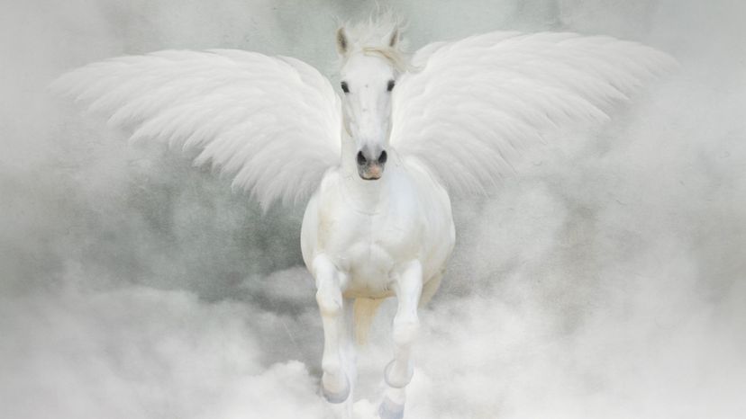 Which Mythological Horse Are You?