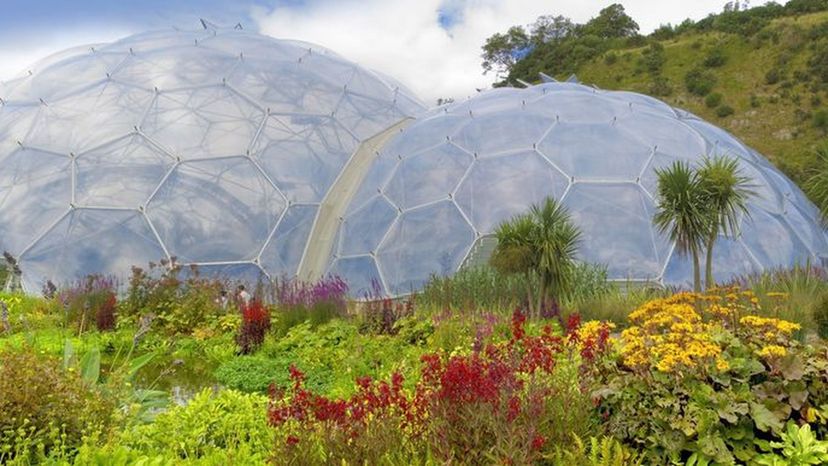 The Eden Project