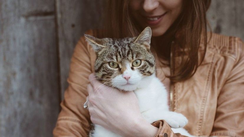 Which Personality Trait Do You Share With Your Cat?