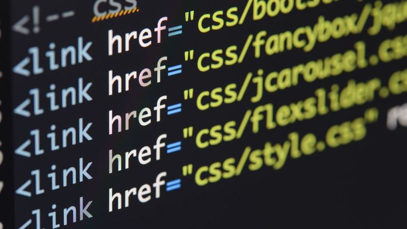 Which Coding Language Should You Learn?