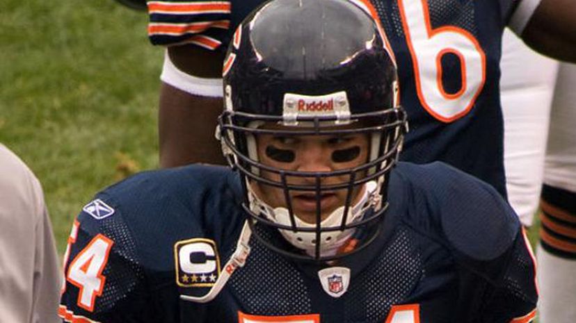 Brian Urlaucher Bears