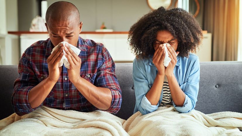 Sneezing Couple