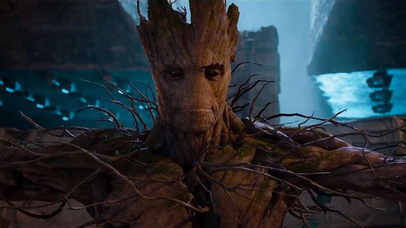 Groot