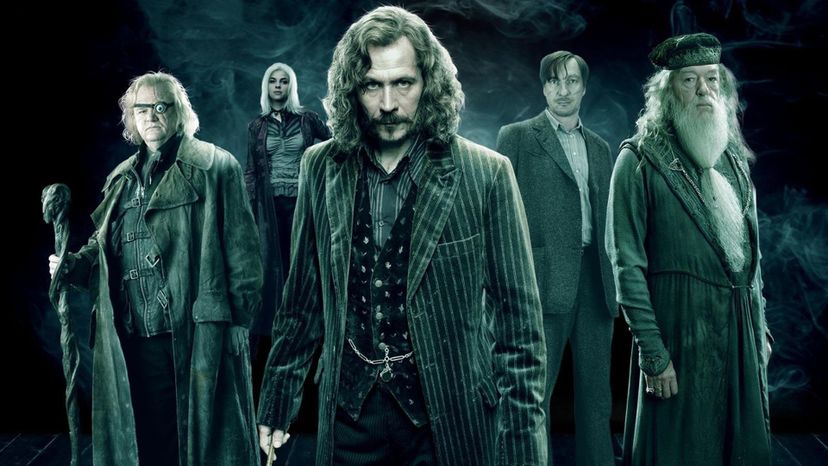 Which Order of the Phoenix Member Are You?