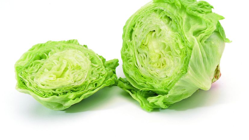 Iceberg lettuce