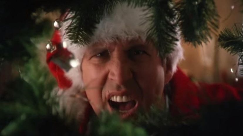 Live Through a Christmas Movie and We'll Guess Your Favorite Christmas Movie
