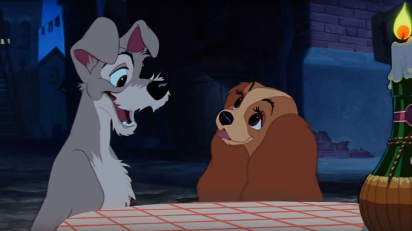 Lady and the Tramp