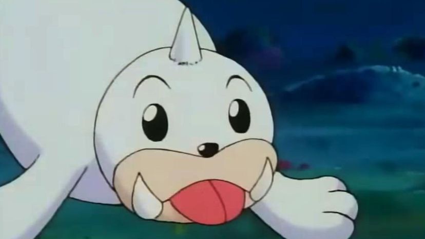 Seel