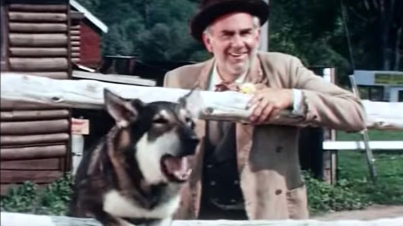 28 - The Littlest Hobo