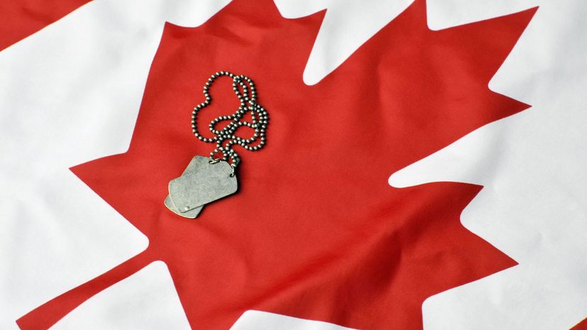 This Yes or No Quiz Will Help Us Guess What Branch of the Canadian Armed Forces You Belong In