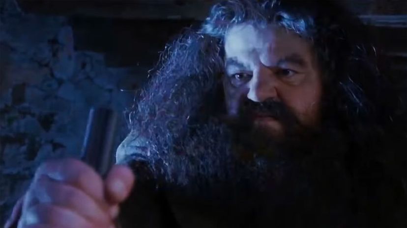 Hagrid bends gun