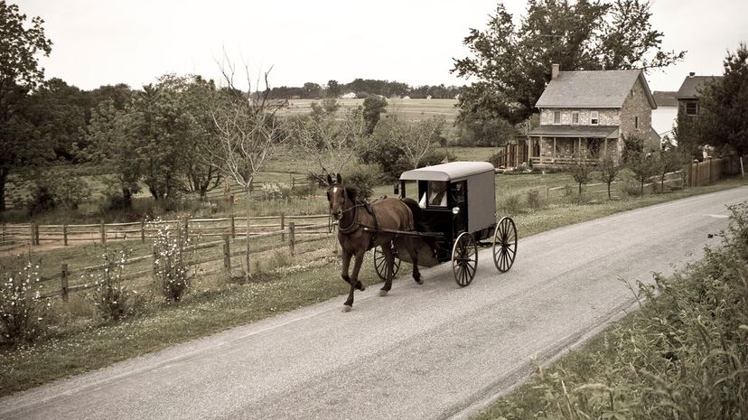 Amish Horse-drawn Buggy Lancaster County Pennsylvania