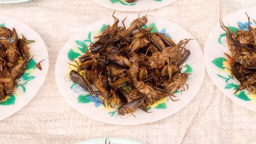 Roasted crickets