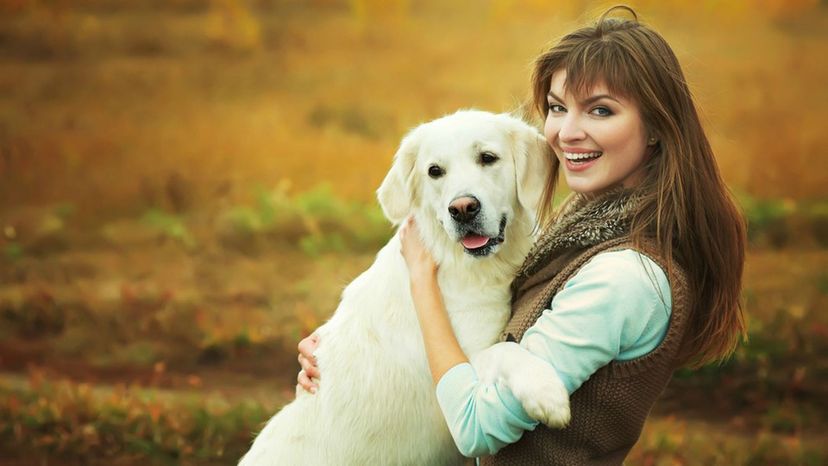 Chacun possède une race de chien correspondant à sa personnalité. Voici la vôtre.