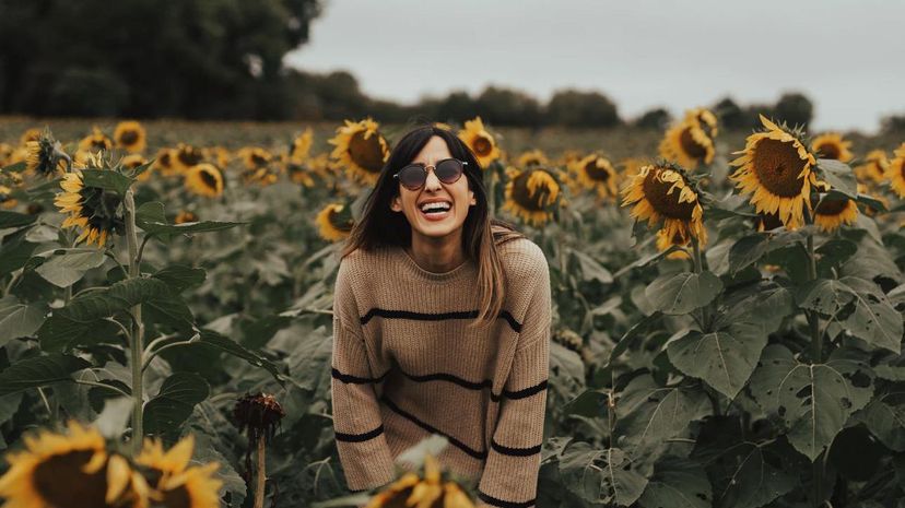 Laugh in sunflower field