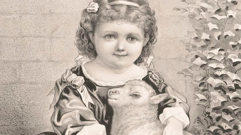 Question 11 - Mary