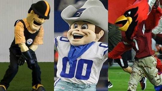85% of people can't guess these NFL teams' nicknames from a picture of their mascot! Are you a true football fan?