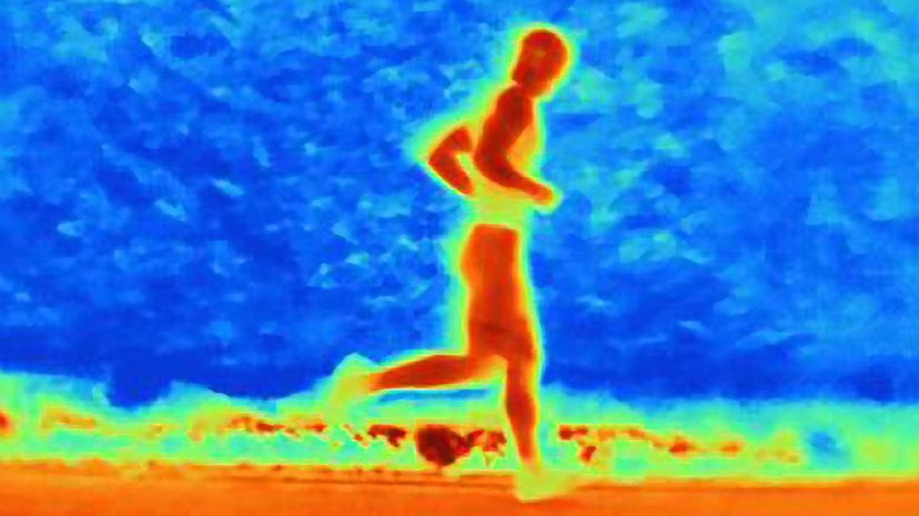 Thermal photograph