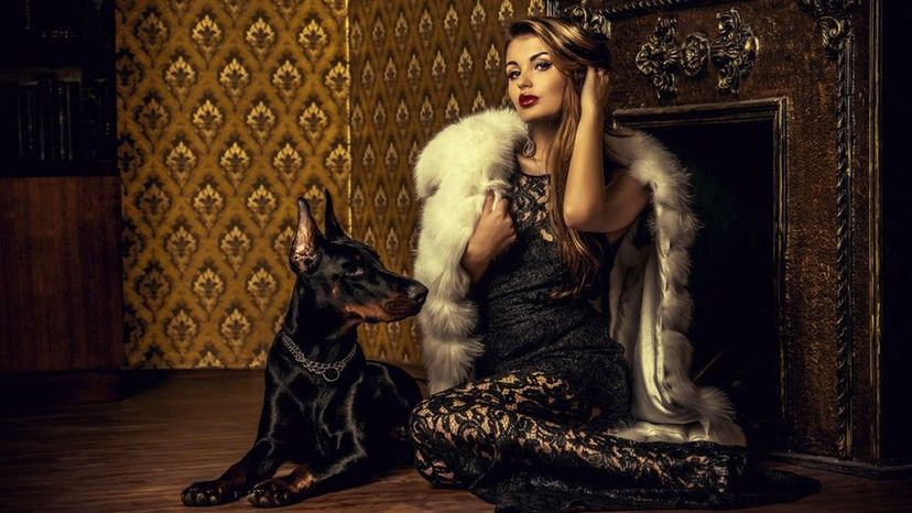 How Much of a Diva Are You?