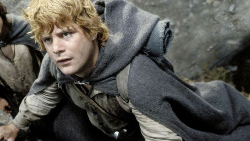 Samwise Gamgee