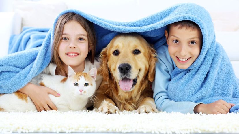 Kids and Pets