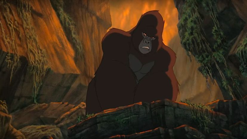 Kerchak