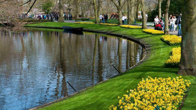 Keukenhof The_Netherlands