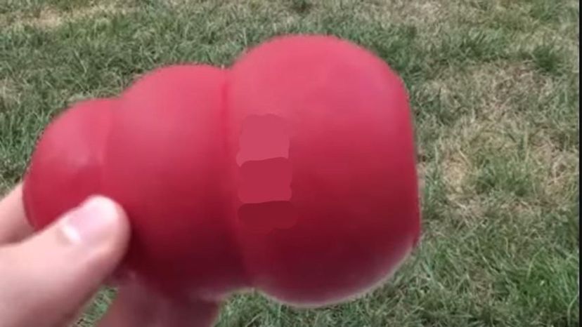 Kong Classic Dog Toy