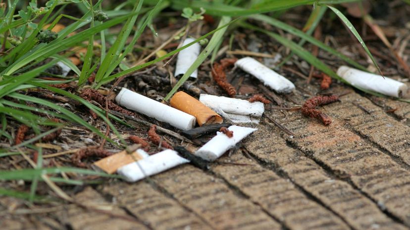 Cigarette Butt