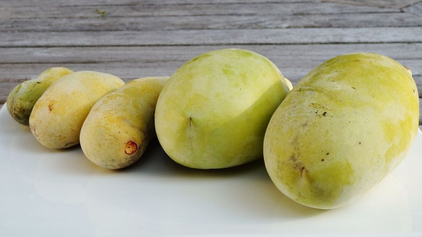 pawpaw