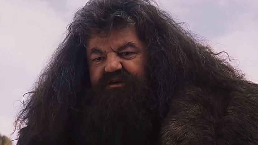 Rubeus Hagrid