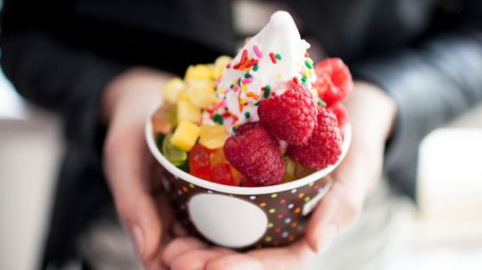 Build Yo Froyo and We'll Guess What State You Live In
