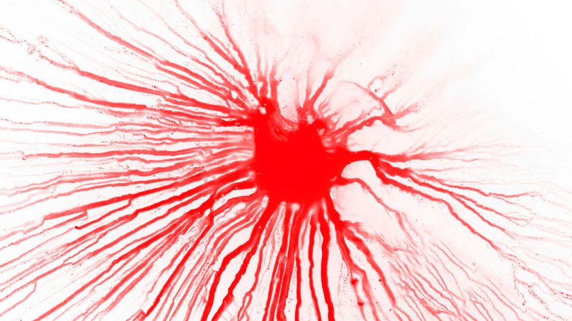 Q 24 Kidneys filter blood