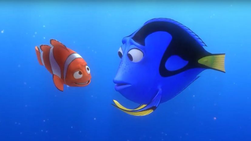 Dory and Marlin