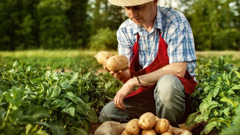 Farmer