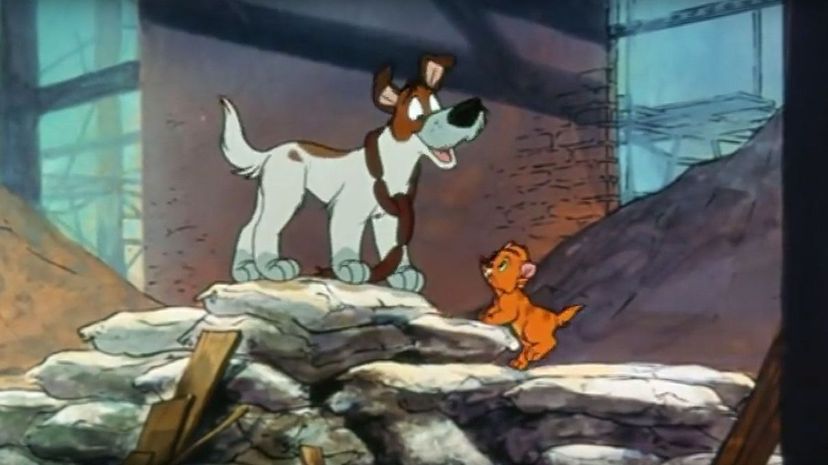 Oliver and Company