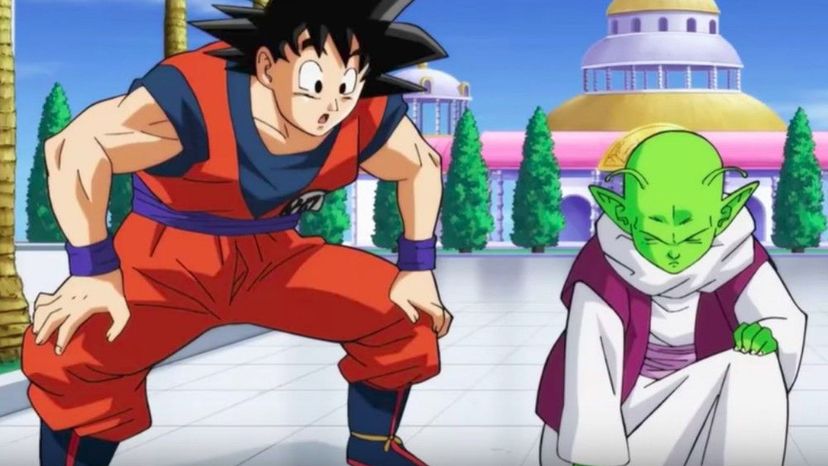 Which Dragon Ball Z Duo are you and your BFF?