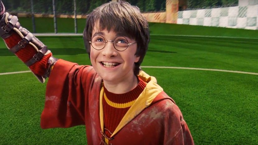 18_Harry-Wins-Quidditch