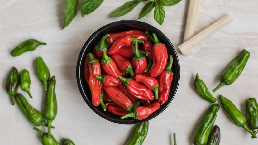 How Many Chili Peppers Are You?