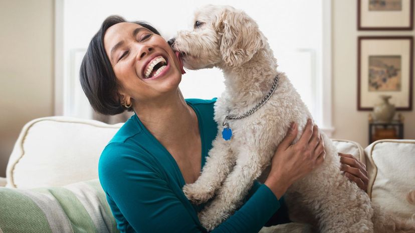 Tell Us About Your Dog Preferences and We'll Guess Your Age