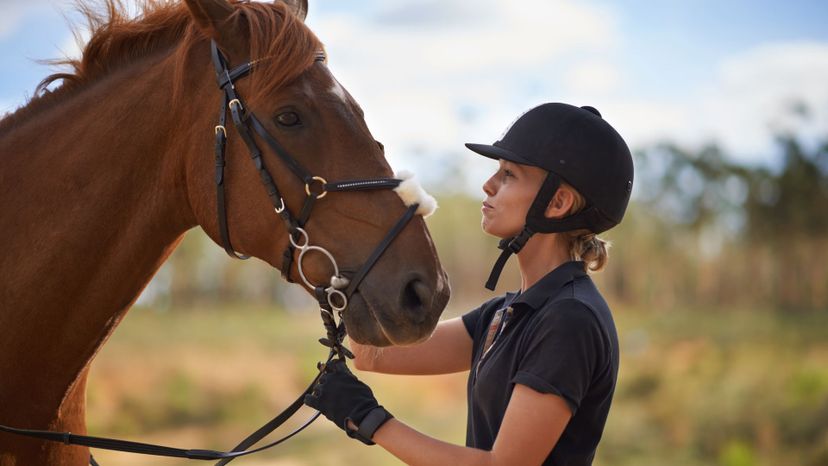 See If You Can Ace This Horseback Riding Knowledge Quiz | Zoo
