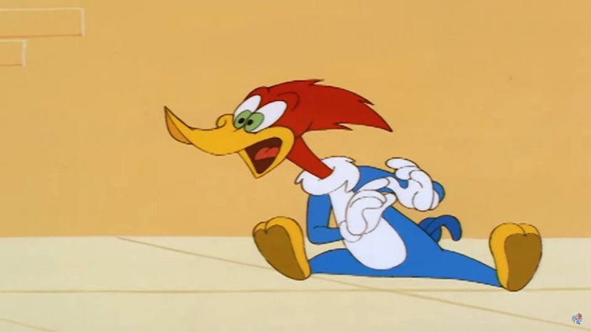 The Woody Woodpecker Show