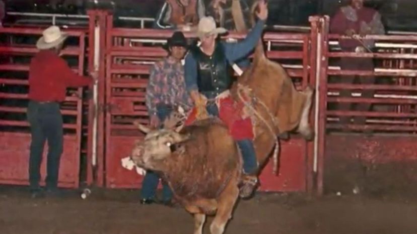 How Much Do You Know About Professional Bull Riding?