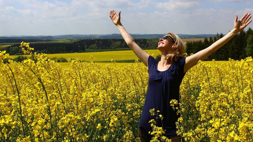 Woman in Flower Field